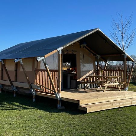 Luxe Safaritenten Petit013 - Nieuw Tilburg Exterior foto